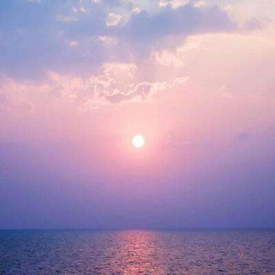 金博宝手机app下载